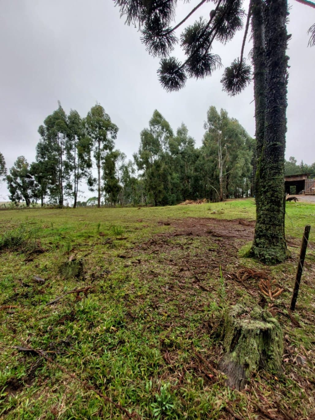 ÁREA DE 5.040m² NA CHÁCARA DAS PALMEIRAS EM VACARIA